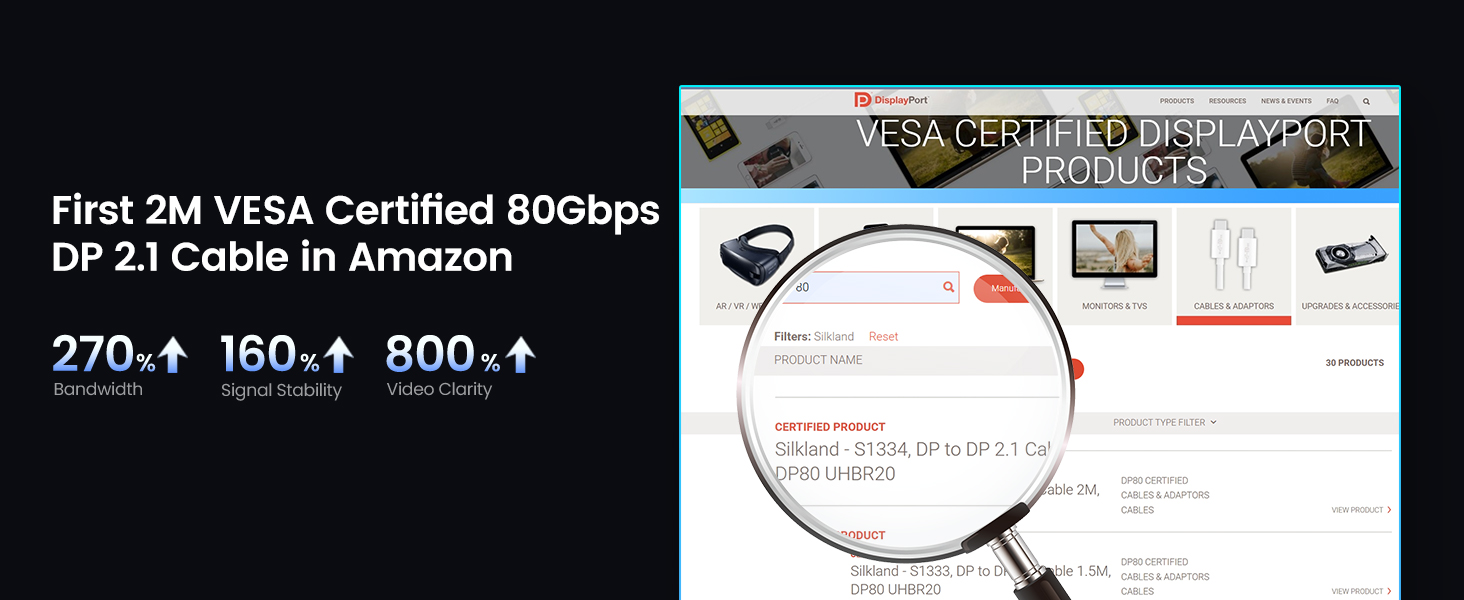 dp80 vesa certified 6.6ft