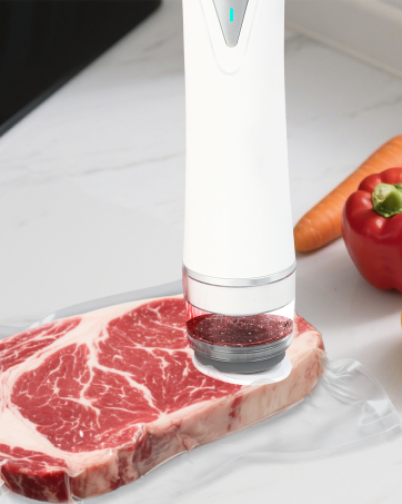 vacuum sealer for food