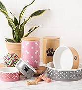 Collection of pet food bowls
