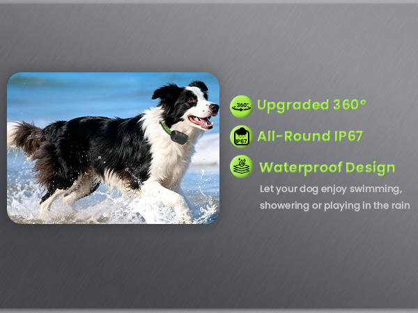 no bark collar barking collar small breed puppy bark collar bark collars for small dogs