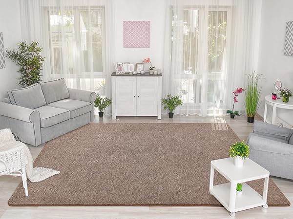 Brown Living Room Rug
