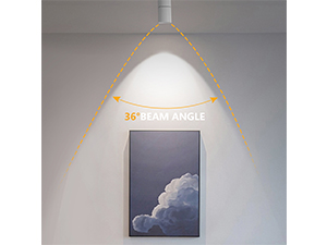 VANoopee Track Lighting Heads 20W 