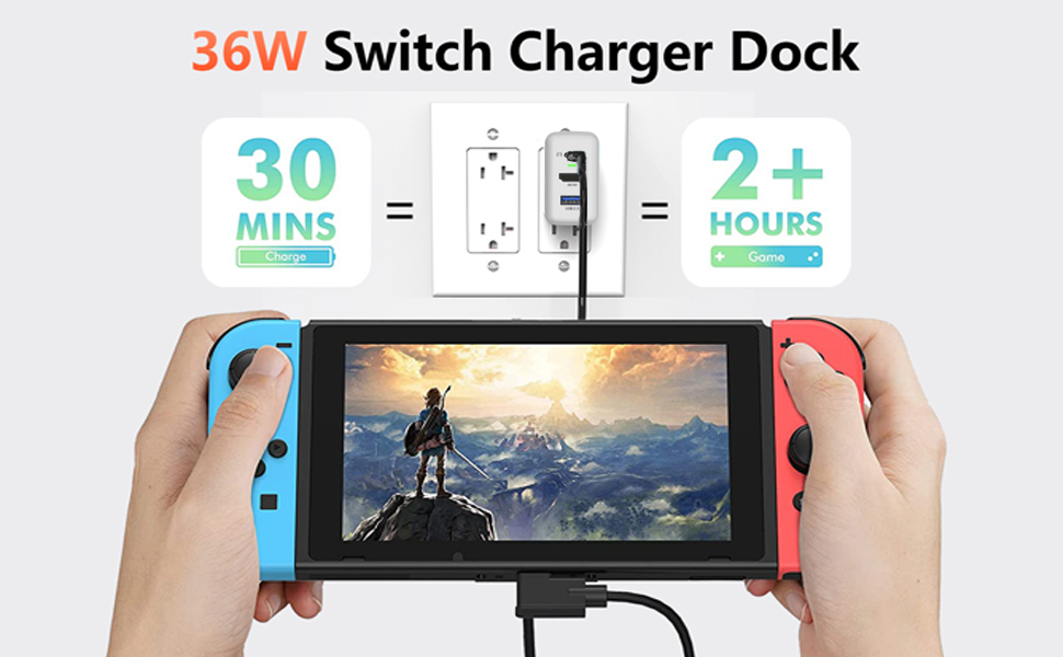FAST CHARGER DOCK FOR SWITCH