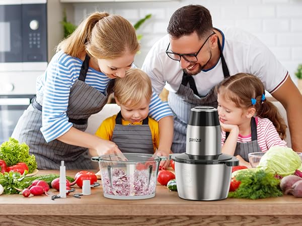 electric food chopper