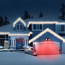 Color for Every Occasion