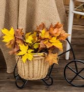 DomeStar 2000PCs Red Rose Petals, Silk Rose Petals for Wedding, Romantic Night, Valentines, Fake ...