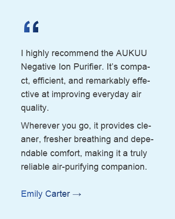 Negative lon Air Purifier.