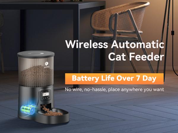 cat feeder automatic