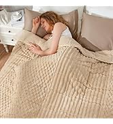 Uttermara Fleece Weighted Blanket for Adults Queen Size 15lbs, Soft Sherpa Weighted Blankets for ...