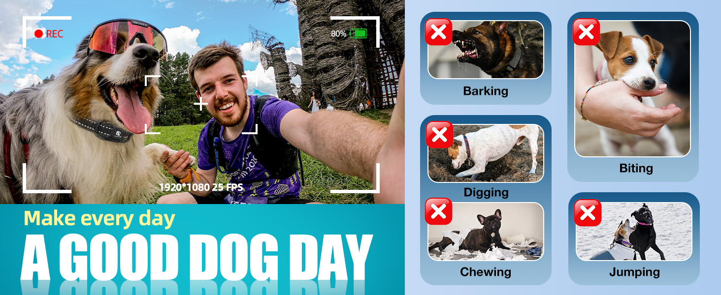 Bousnic Dog Training Collar Makes Everyday a Good Dog Day!