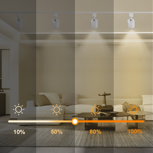 H type track lighting heads dimmable
