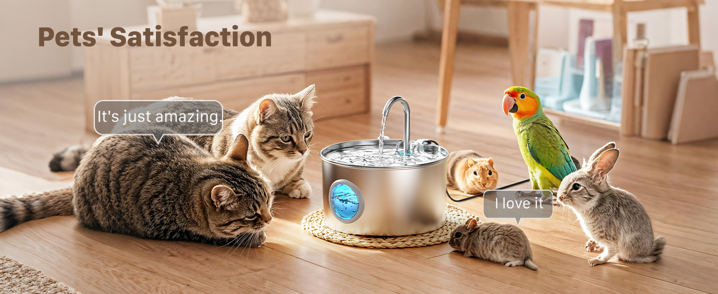 dog water fountain, cat water dispenser, cat fountain water bowl, water fountain, pet fountain