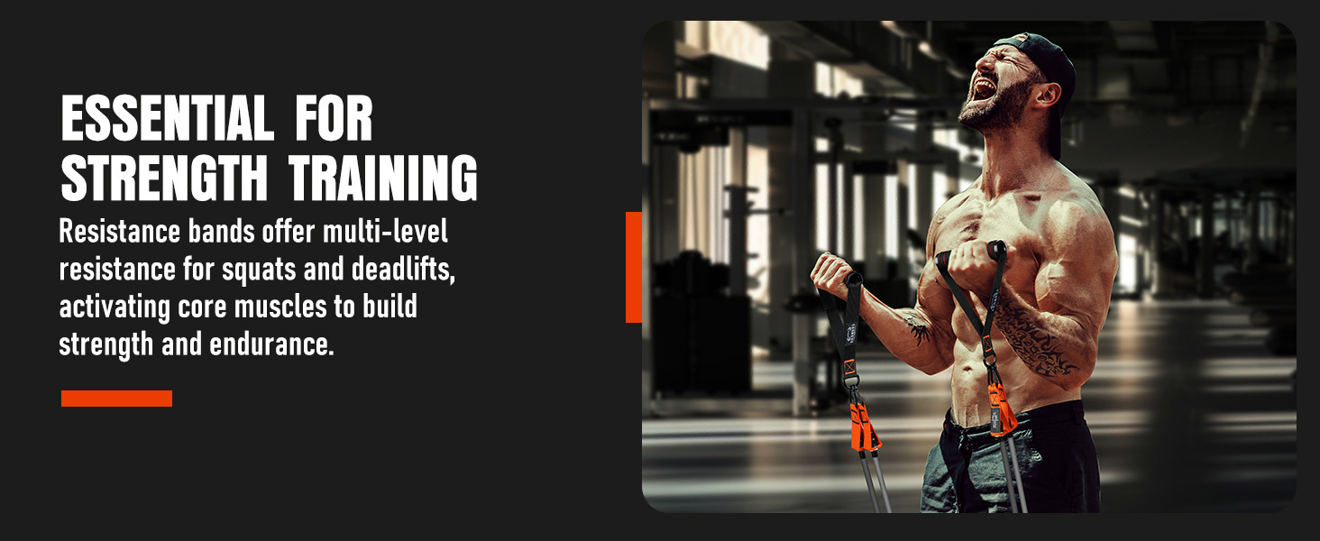 Exercise Bands with Handles