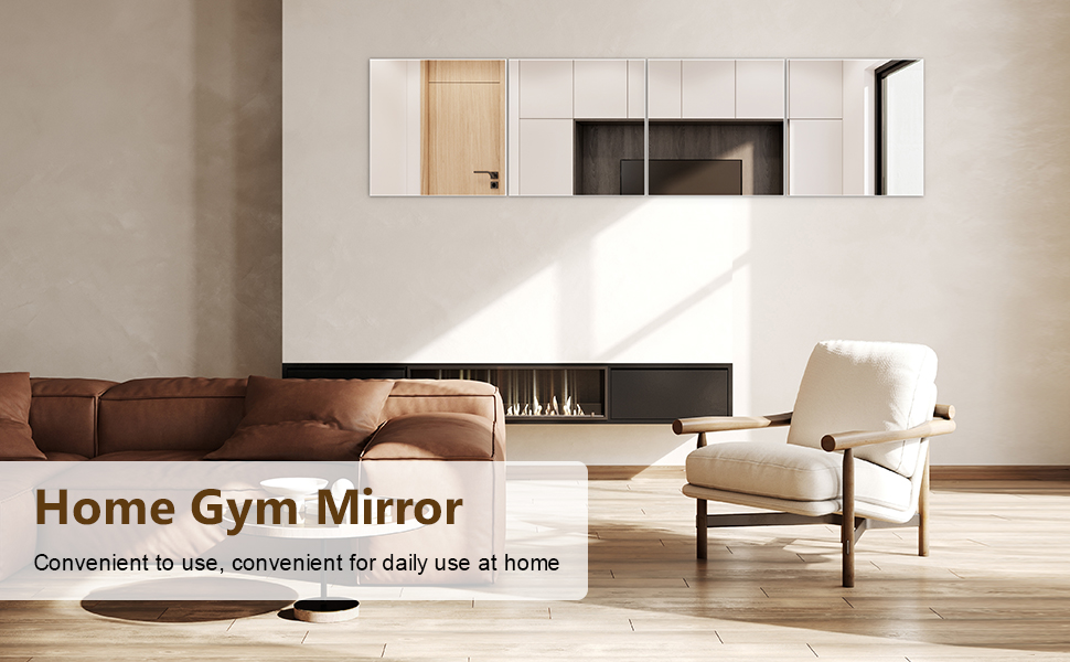 Home Gym Mirror