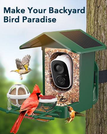 peckcam bird feeder camera