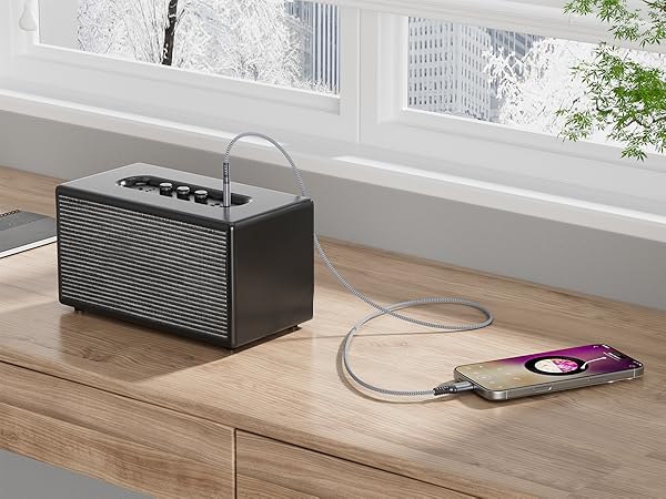 B_MP_USB_C_AUX_CABLE_1P(5)