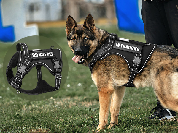 balck dog harness for large dogs