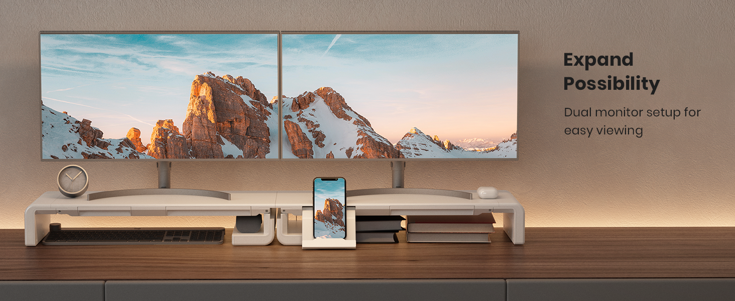 dual computer monitor riser