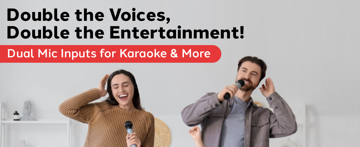 microphone karaoke cable pa xlr portable mixer outdoor professional mic pro sing conference singing