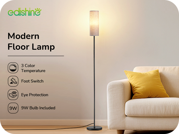 Modern Floor Lamp for Living Room