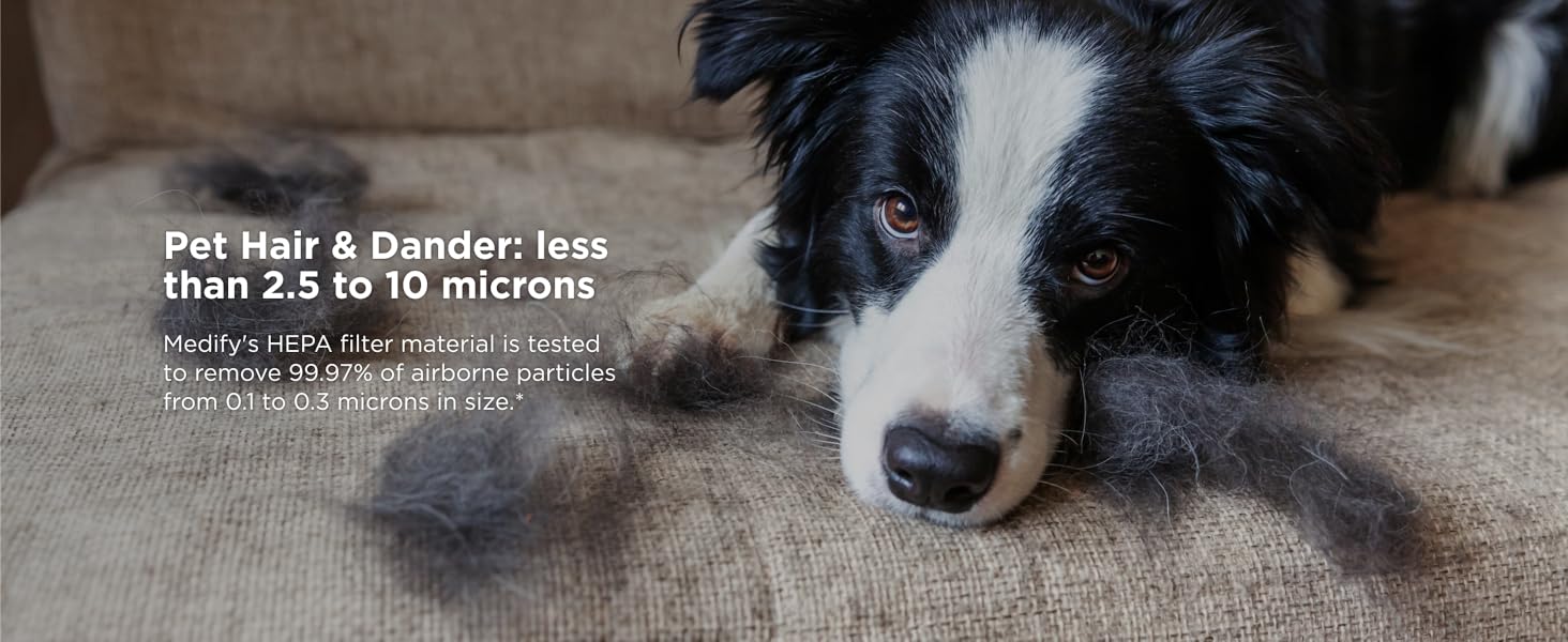 Pet Hair &amp; Dander