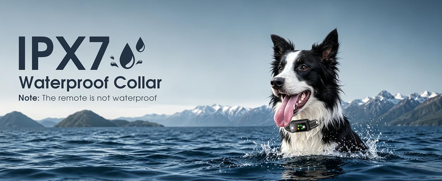 Dog Shock Collar 2 Dogs, training collar with remote