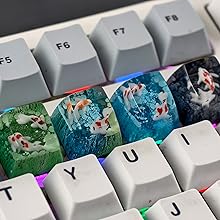 koi