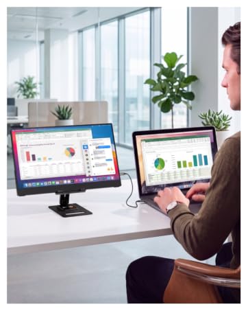 portable monitor