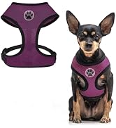BINGPET No Pull Dog Harness for Small Dog,Soft Adjustable No Choke Escape Proof Pet Harness Vest,...