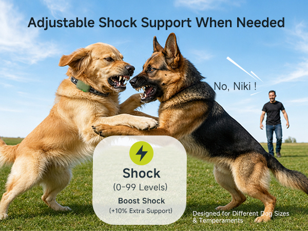 shock collar
