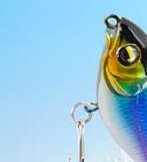 fishing lures