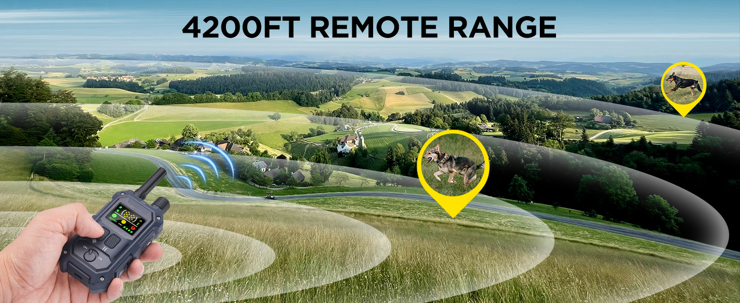 dog shock collar with remote