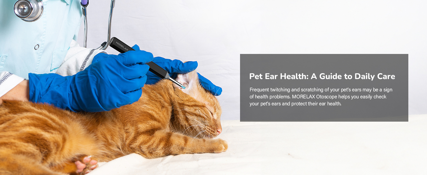 ear cleaning with camera