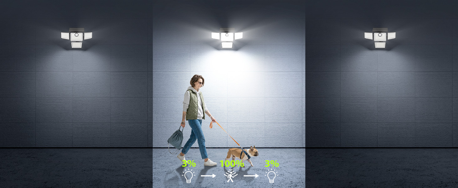 motion solar lights