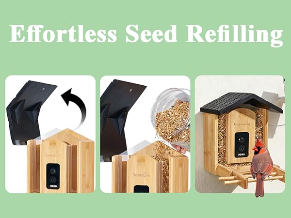 backyard bird feeder camera