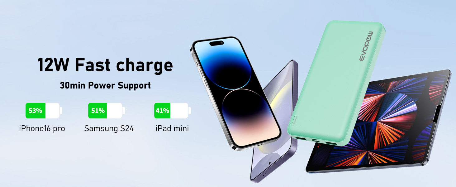 12W Fast charge 30min Power Support power bank