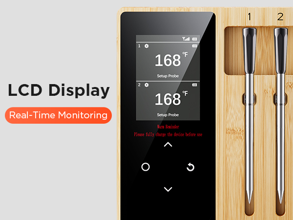 meat thermometer digital