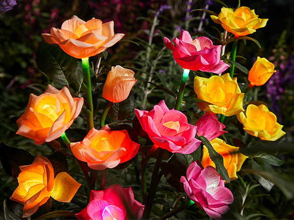 garden solar lights