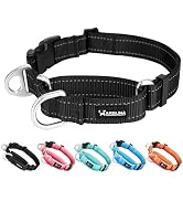 Arblina Martingale Collar for Dogs with UTX Buckle Reflective Nylon Dog Collar for No Pull Traini...