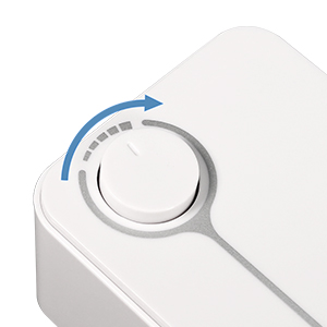 adjustable air pump