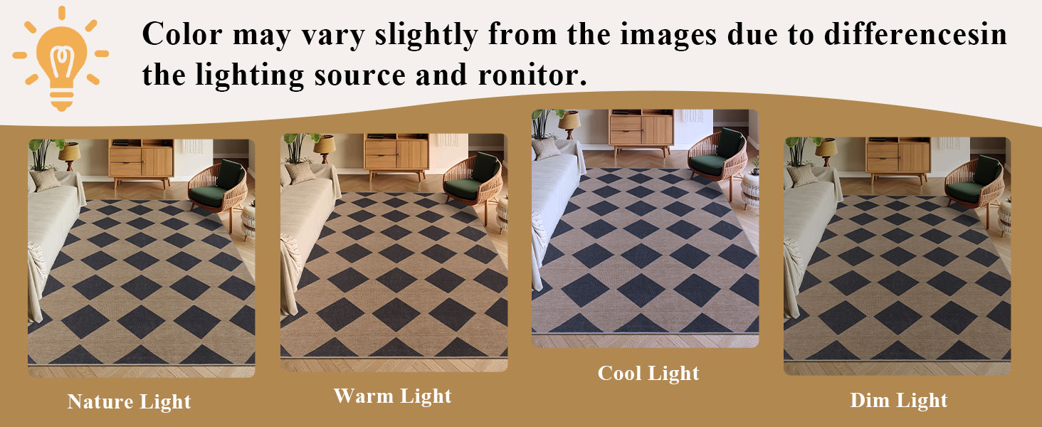indoor outdoor rug