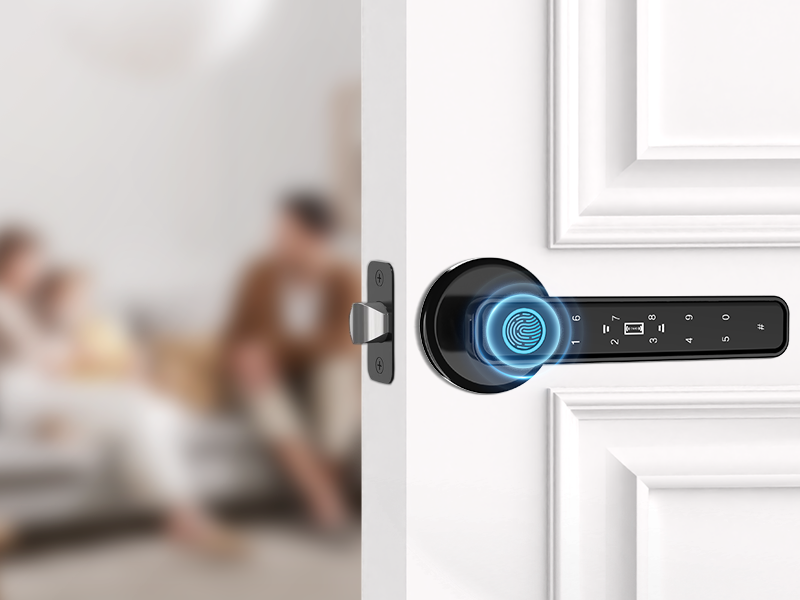 fingerprint door knobs; code door lock; digital locks for doors; indoor door knob; lock for door;