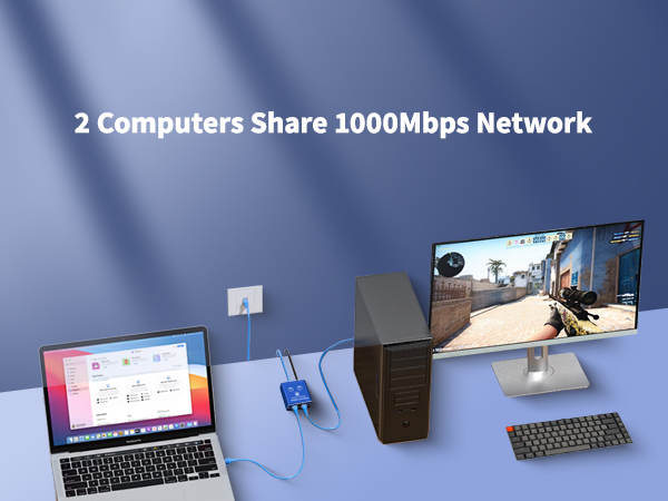 Ethernet Splitter 1 In 2 Out