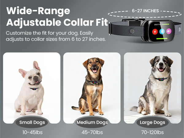 canivix dog training collar