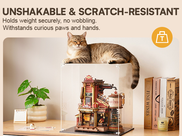 ROKR Clear Dust Cover