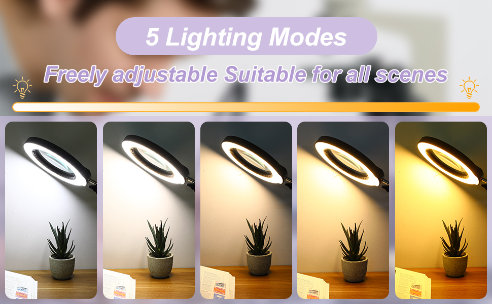 Magnifying Glass with Clamp