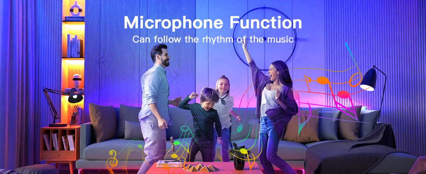 mic function