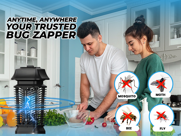 Electric Fly Swatter