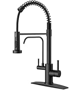 FORIOUS Black Kitchen Faucet with Purfied Water Filter, 2 in 1 Commercial Stainless Steel Pull Do...