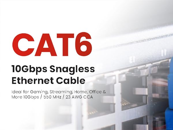 Internet Cable 100ft
